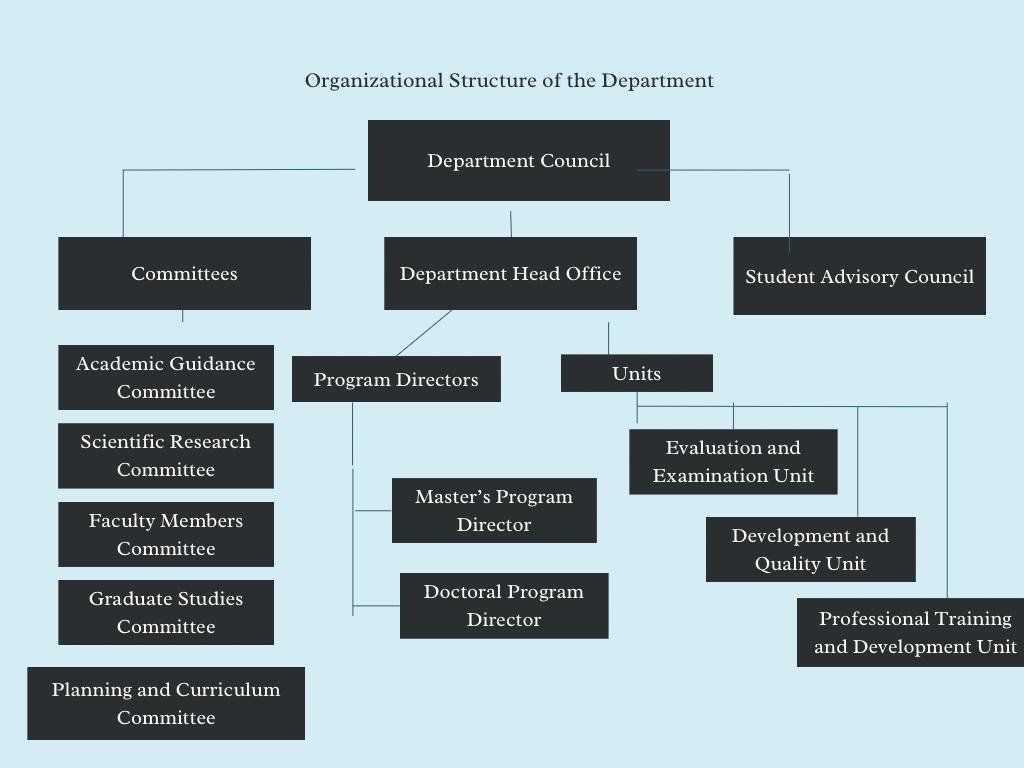 The Organizational Structure of Translation Department.jpg