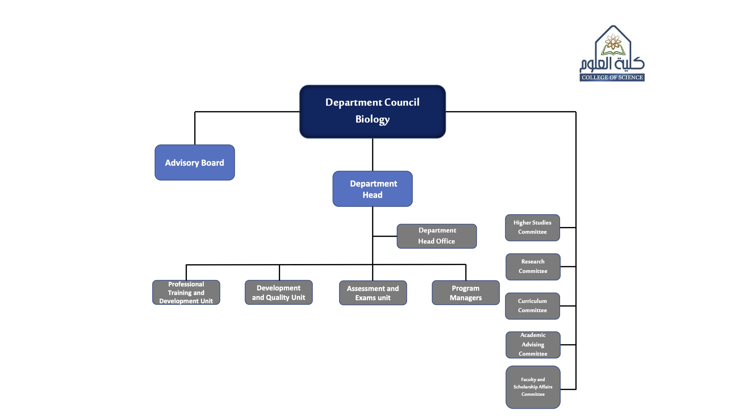 الهيكل التنظيمي لقسم الاحياء باللغة الانجليزية.jpg
