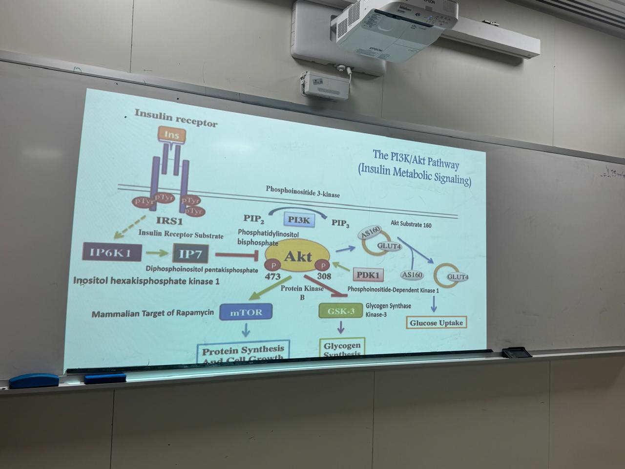 WhatsApp Image 2025-11-10 at 8.57.20 PM (2).jpeg