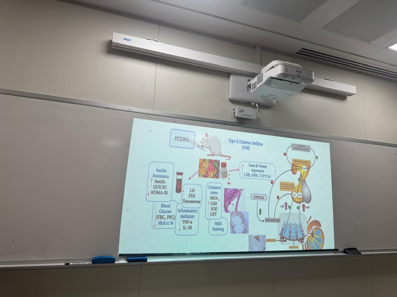 WhatsApp Image 2025-11-10 at 8.57.20 PM.jpeg