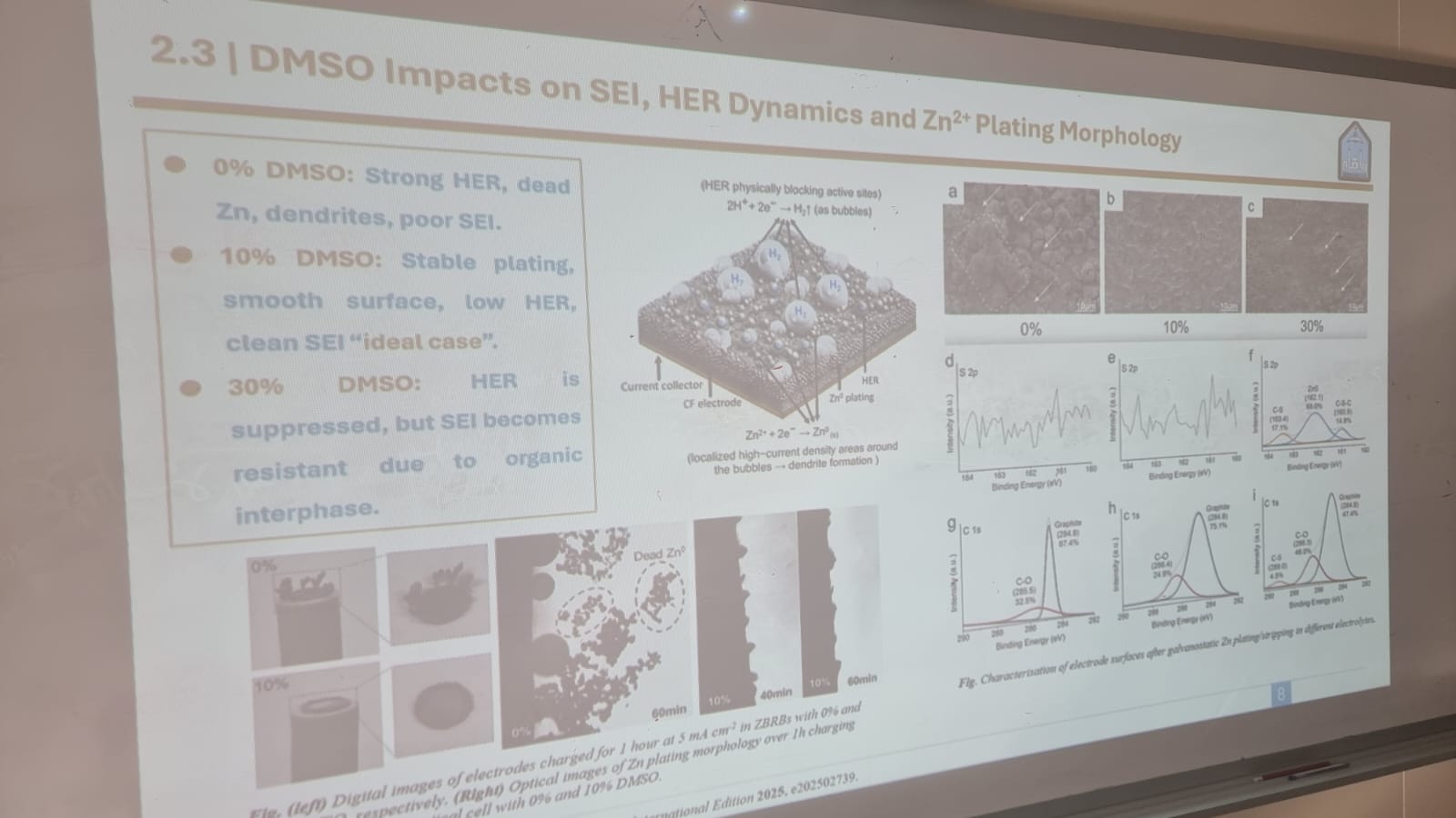 WhatsApp Image 2025-12-10 at 10.00.40 AM.jpeg