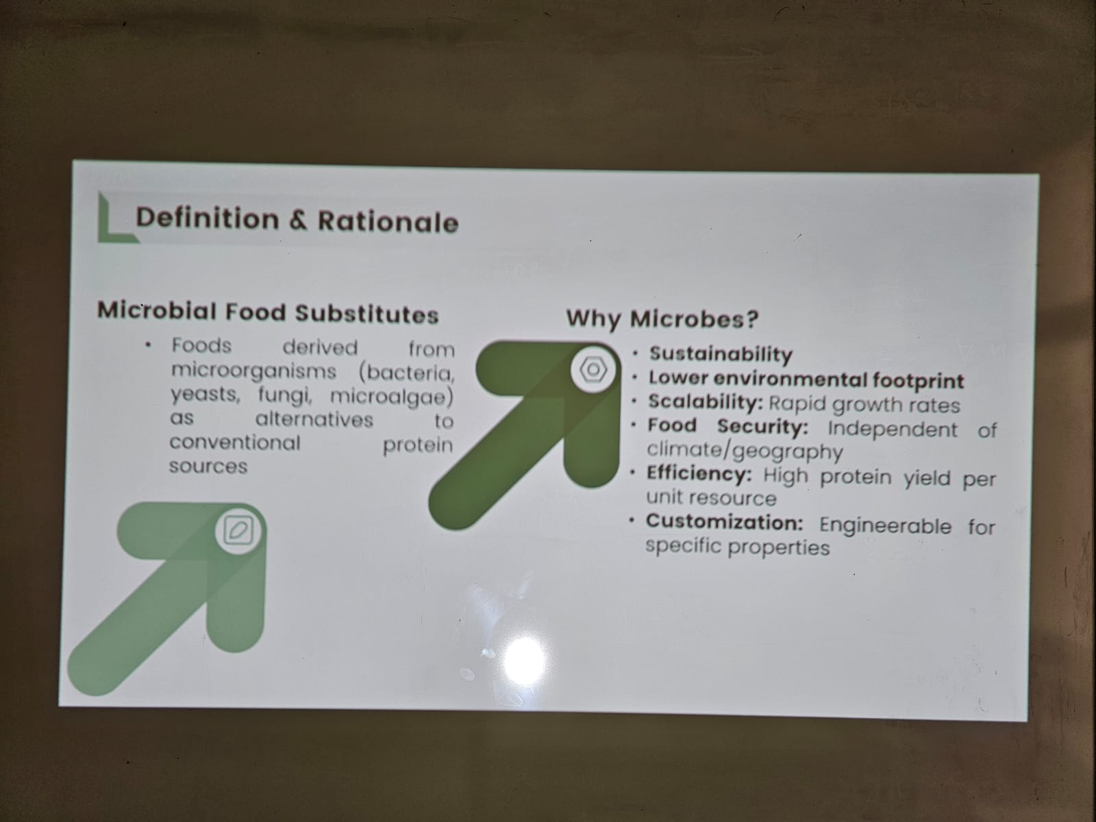 WhatsApp Image 2025-10-13 at 9.19.25 AM (3).jpeg