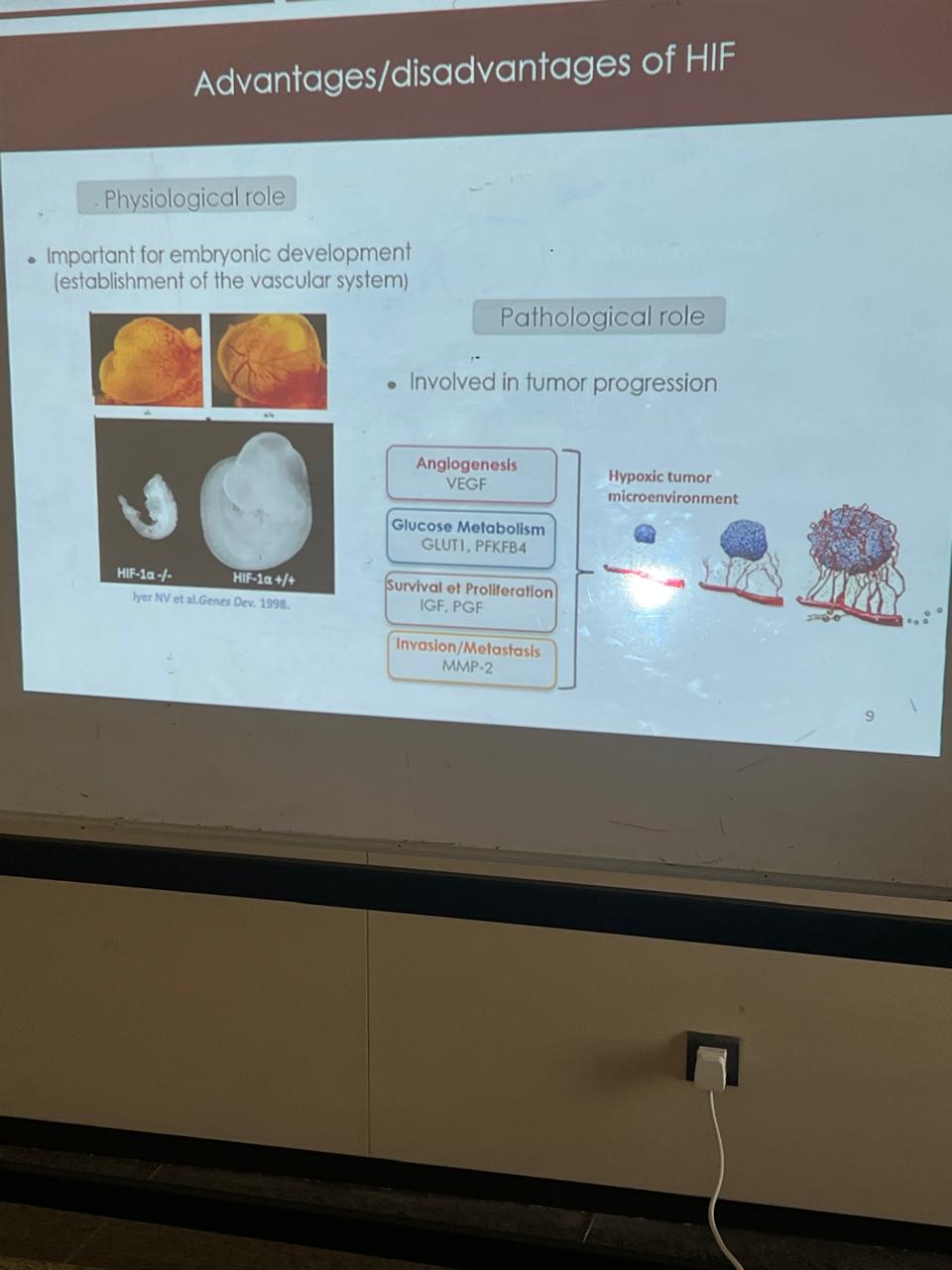 WhatsApp Image 2025-10-29 at 5.07.17 PM (1).jpeg