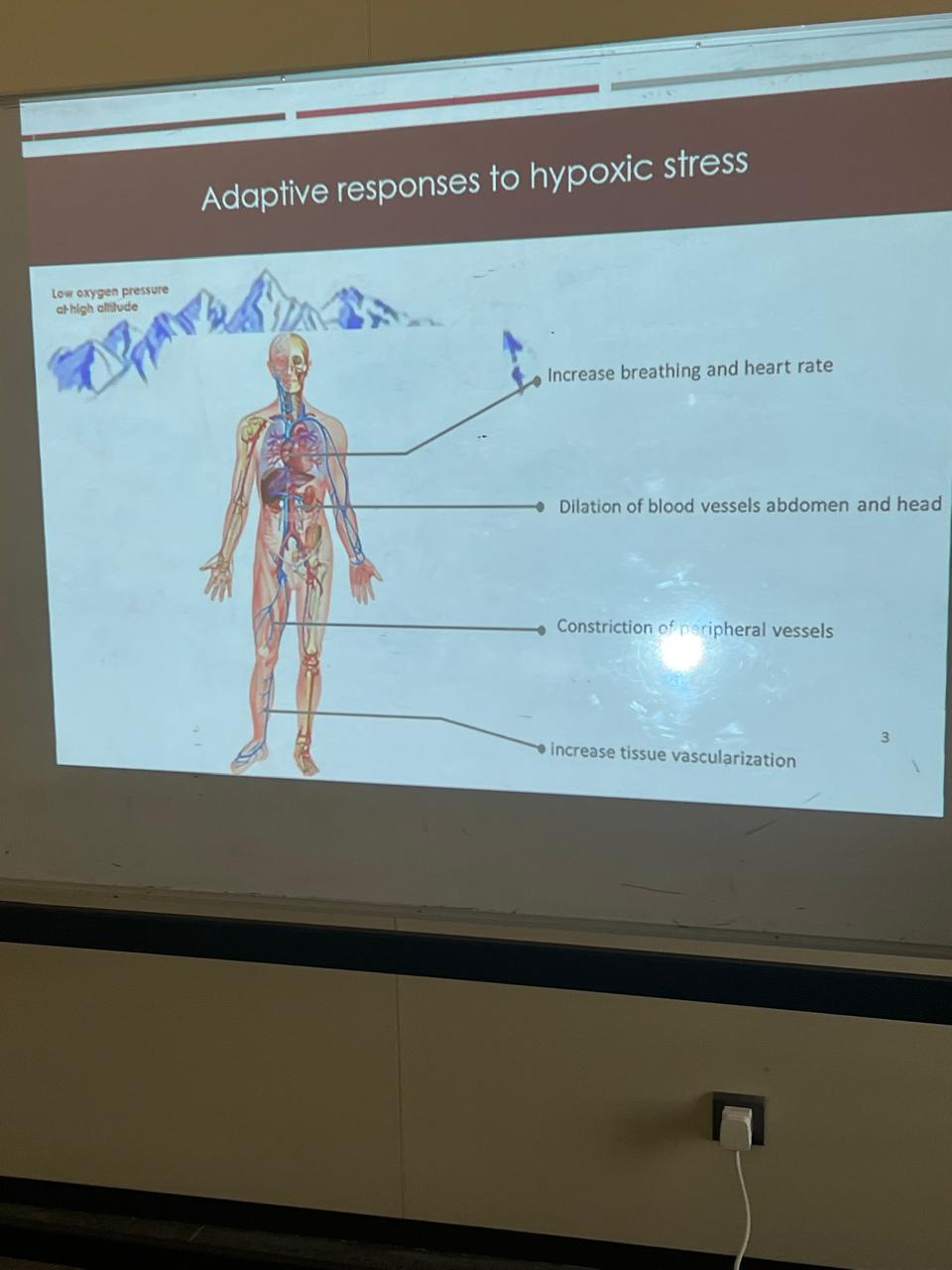 WhatsApp Image 2025-10-29 at 5.07.17 PM.jpeg