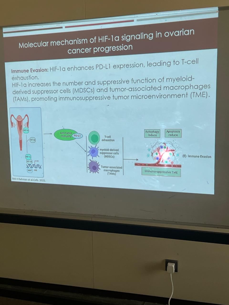 WhatsApp Image 2025-10-29 at 5.07.18 PM.jpeg