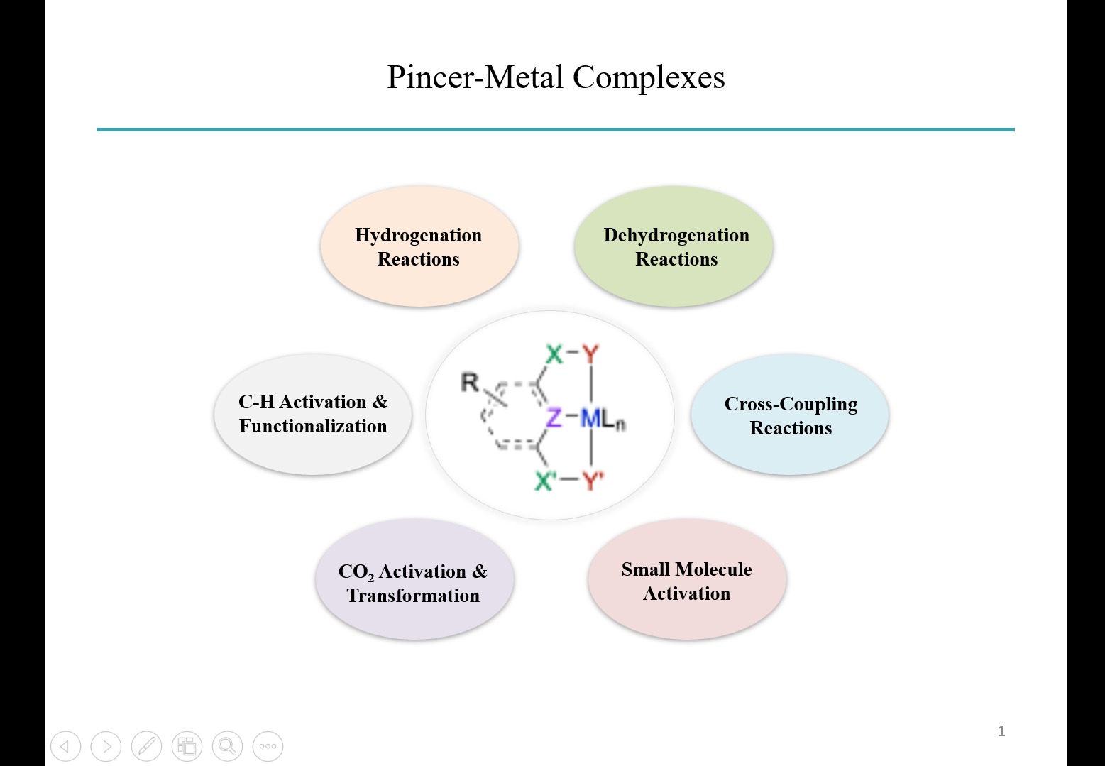 WhatsApp Image 2025-11-06 at 4.08.00 PM (1).jpeg