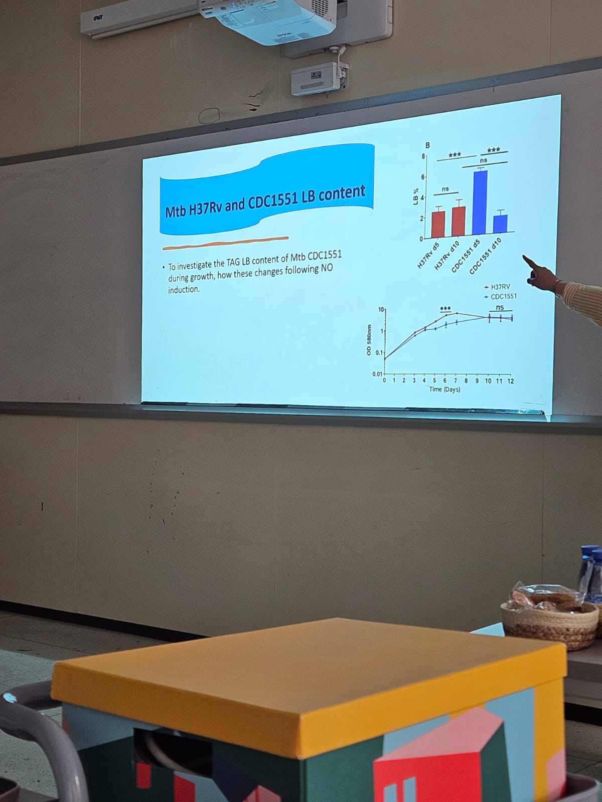 WhatsApp Image 2025-09-15 at 10.54.00 PM.jpeg