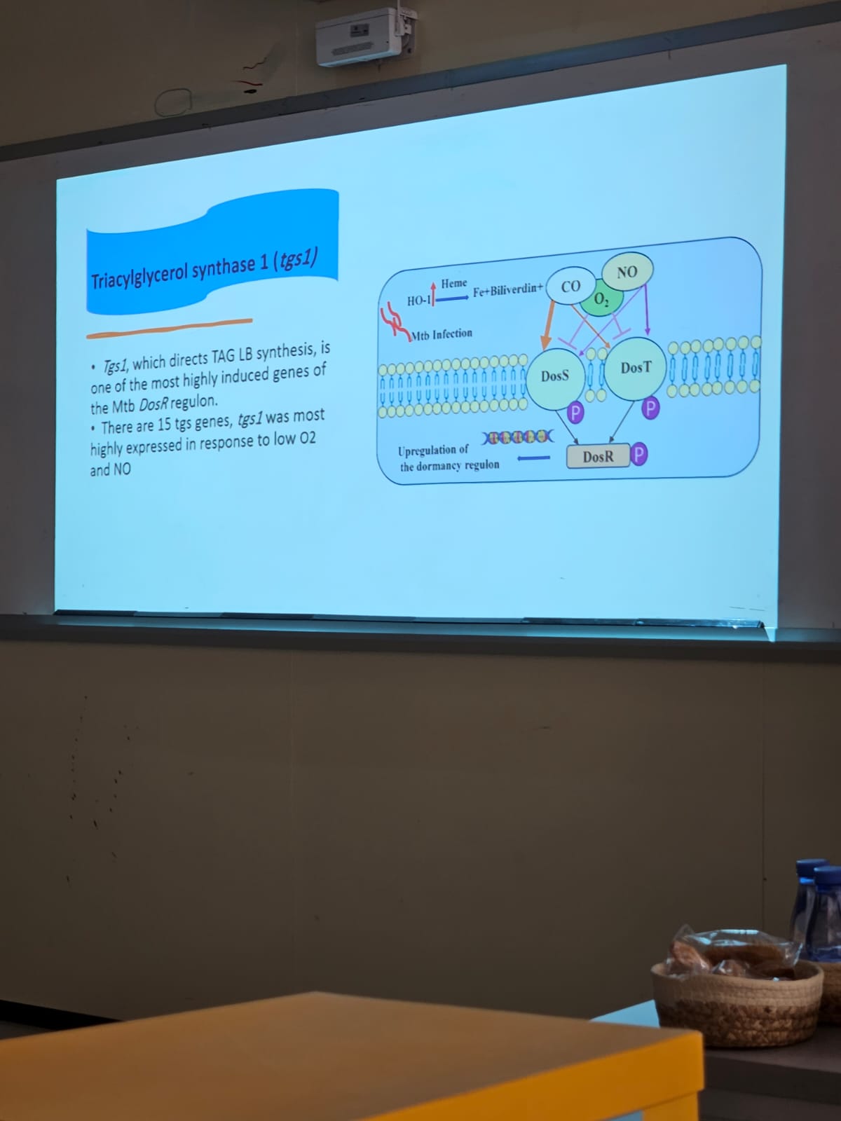 WhatsApp Image 2025-09-15 at 10.54.01 PM (1).jpeg