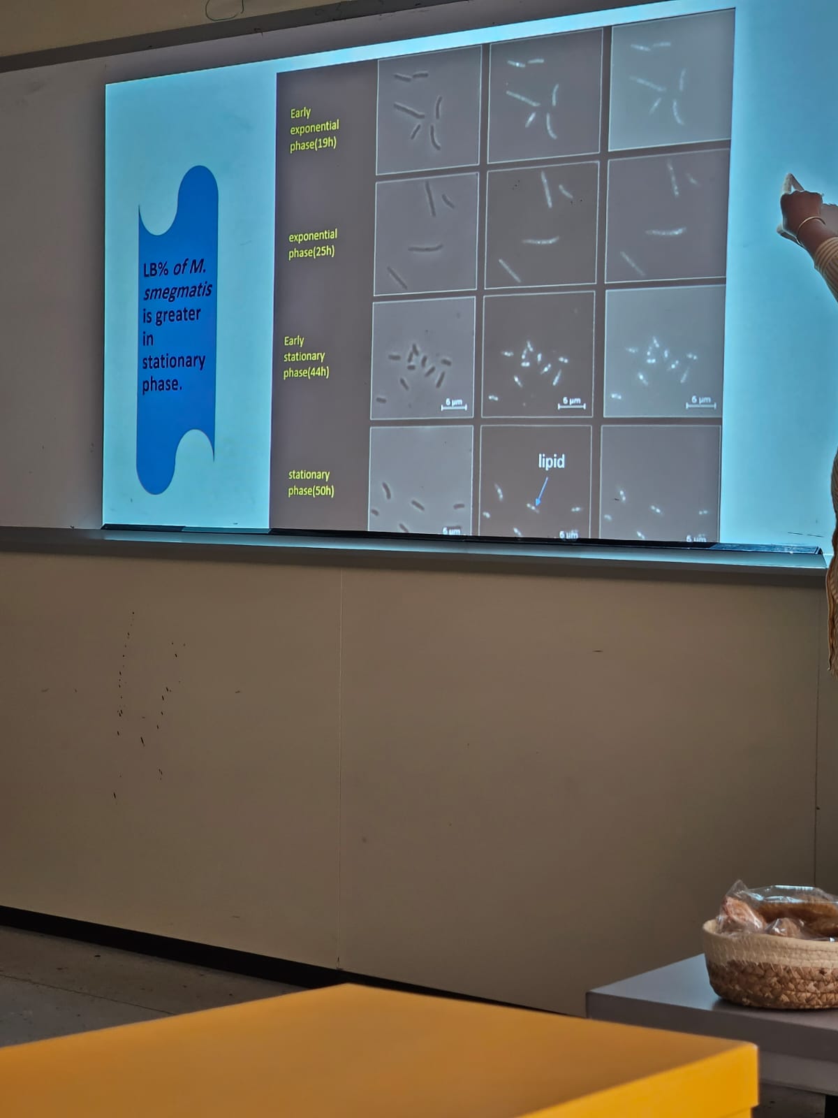 WhatsApp Image 2025-09-15 at 10.54.01 PM.jpeg