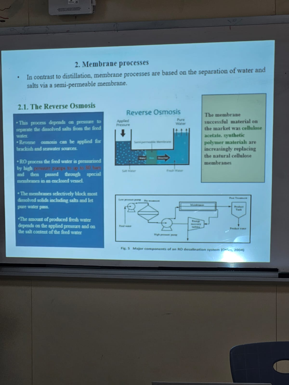 WhatsApp Image 2025-09-29 at 11.42.34 AM.jpeg