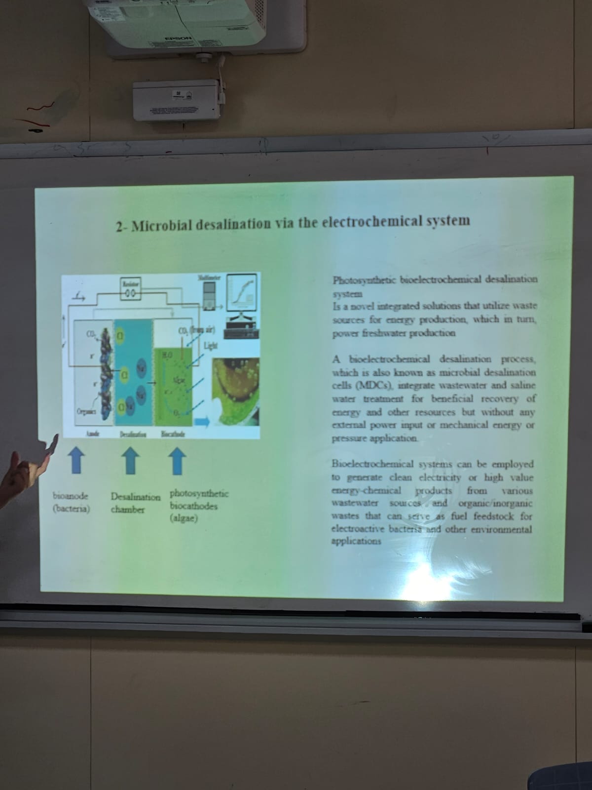 WhatsApp Image 2025-09-29 at 11.42.35 AM (2).jpeg