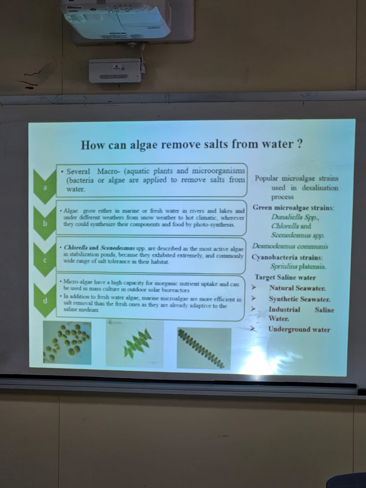 WhatsApp Image 2025-09-29 at 11.42.35 AM (3).jpeg