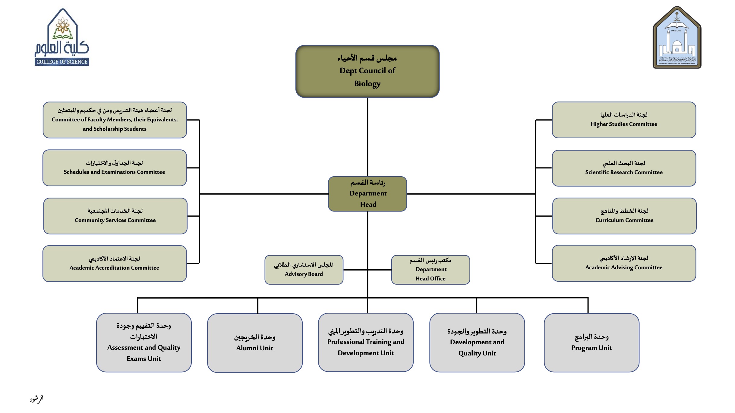 الهيكل التنظيمي لقسم الأحياء 1446-2025.jpg