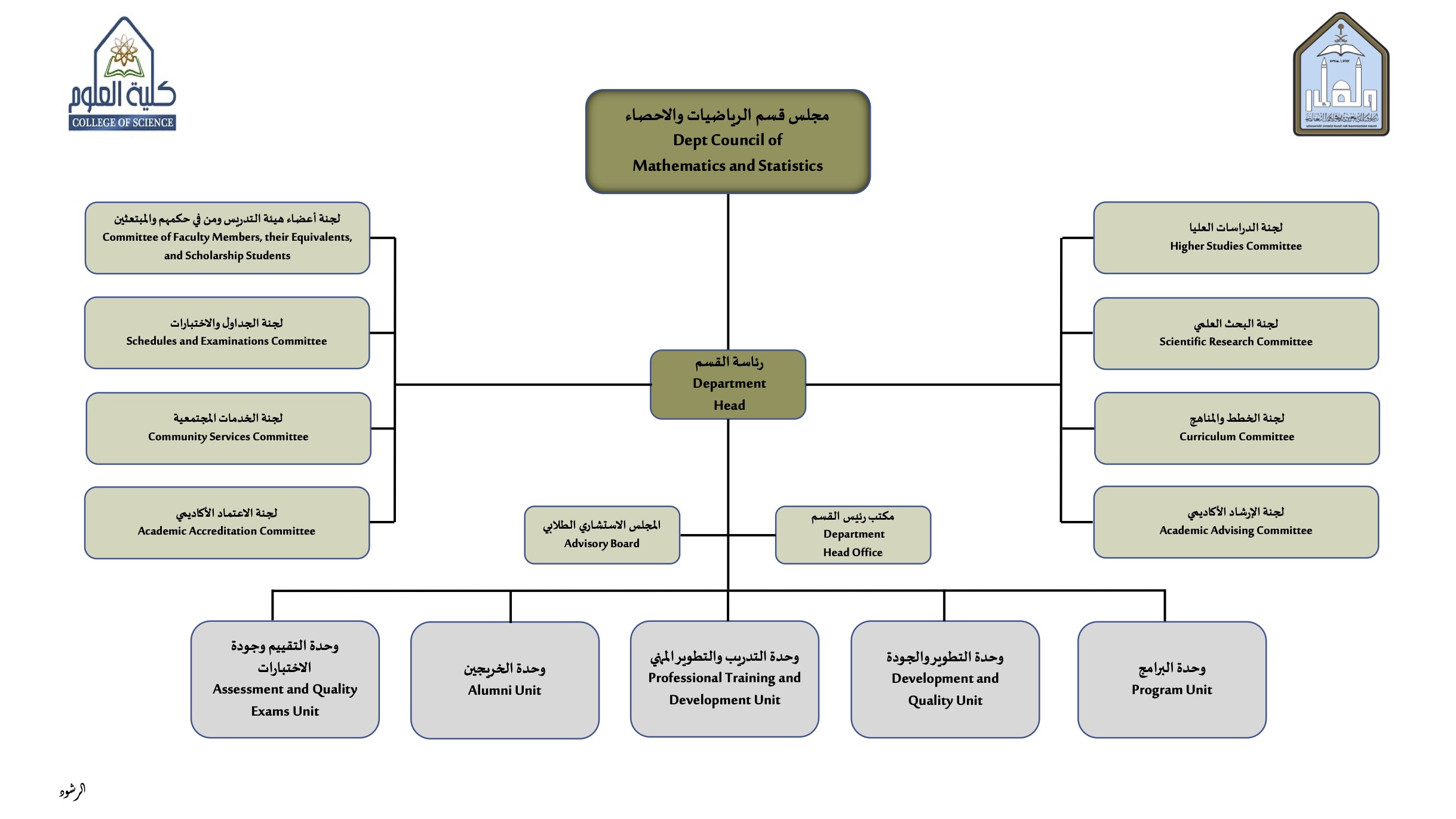 الهيكل التنظيمي لقسم الرياضيات والإحصاء 1446-2025.jpg