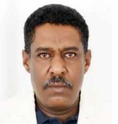 د.محمد ميرغني.png