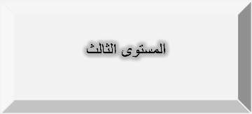 مستوى3.jpg