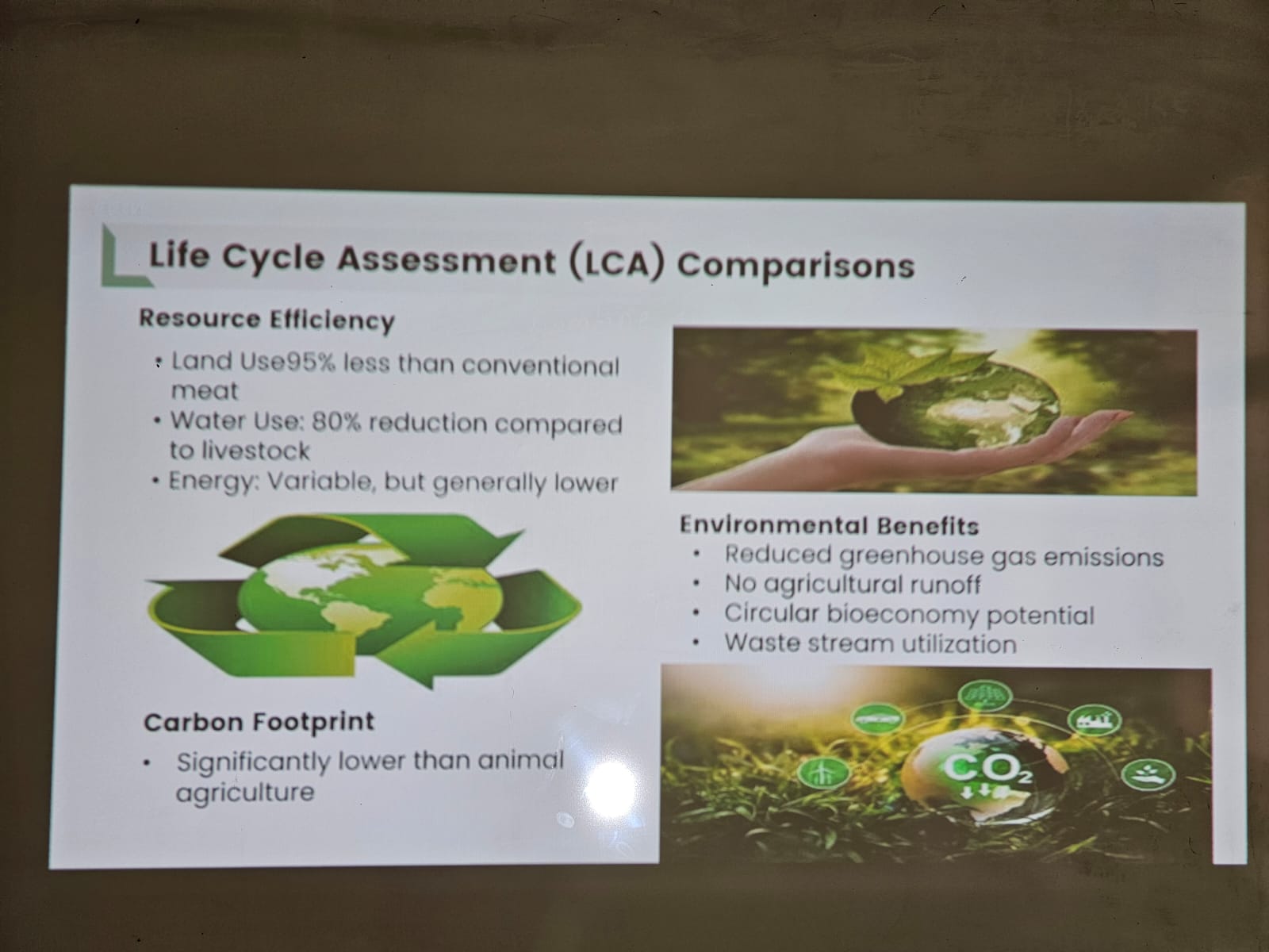 WhatsApp Image 2025-10-13 at 9.19.25 AM.jpeg